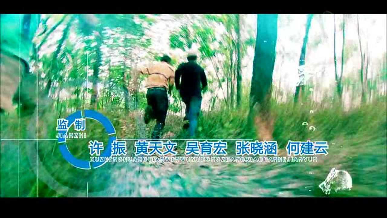 带泪梨花之美丽重生 4集