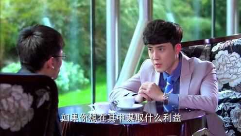 爱的阶梯 17集