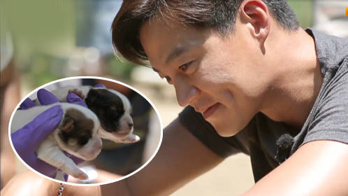 第10期：泽演瑞镇看小狗自动爸爸微笑
