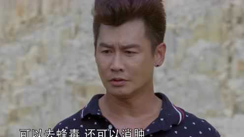 我的仙界学院 8集