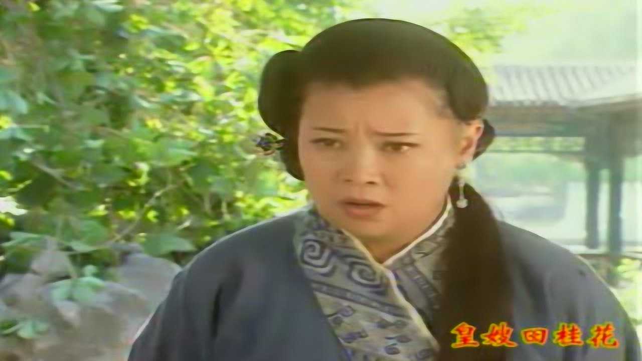 皇嫂田桂花 16集