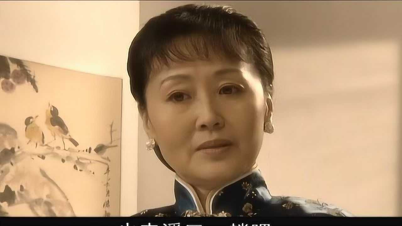 张学良 10集