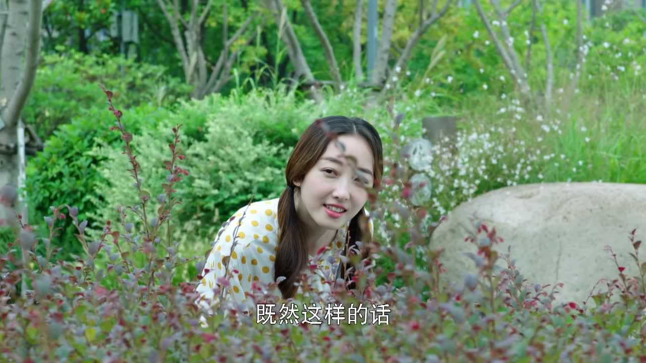 风光大嫁 7集