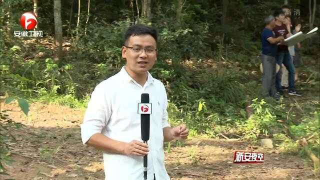 林长制:护住一片“绿色银行”