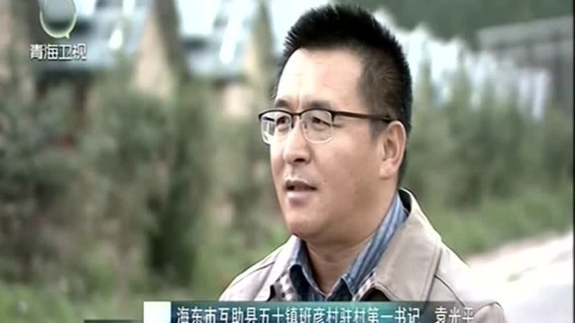 班彦:感恩奋进奔小康