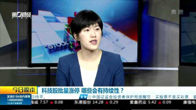 杨敏:关注科技成长中机构关注度较高的个股