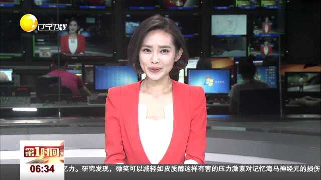 雅加达亚运会开幕 羽球天后王莲香点燃圣火