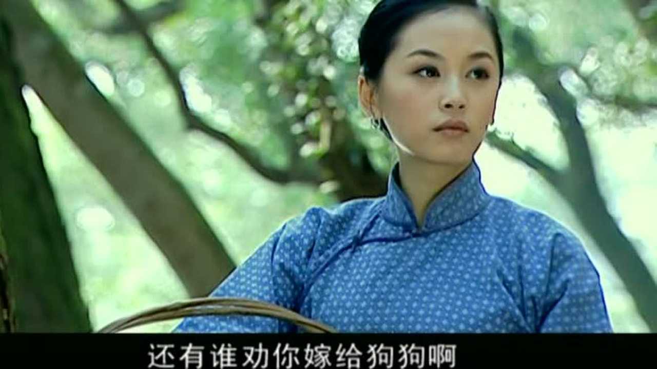 寒秋 24集