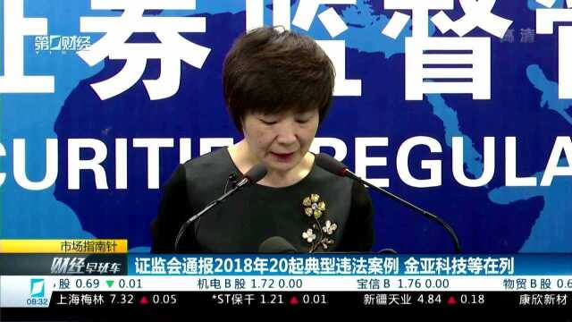 证监会通报2018年20起典型违法案例 金亚科技等在列