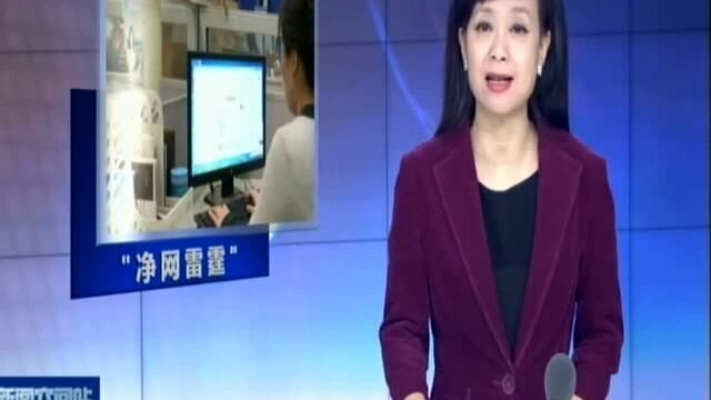 省市场监管局发布2018互联网“净网雷霆”专项行动成果