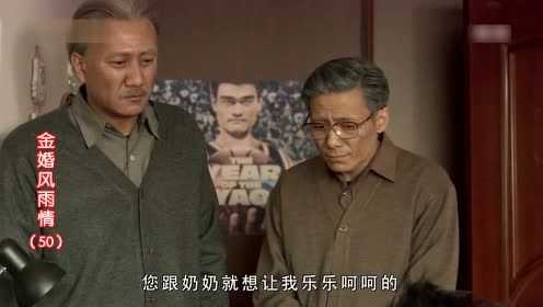 金婚风雨情 50集