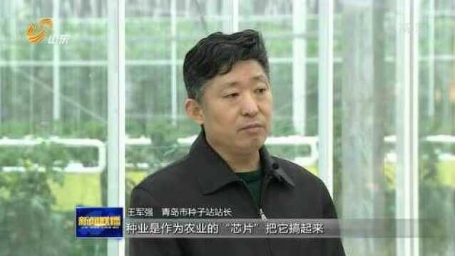 青岛加快建设国际种都核心区