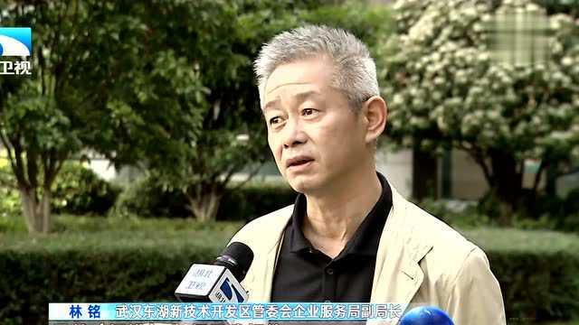 湖北一季度经济观察 新增规上企业790家 高新企业占9成