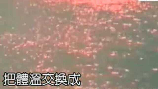 从陌生到熟悉 (KTV版)