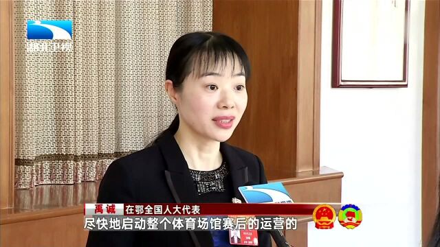 “怎样让武汉因为军运会更有魅力?”杨俊代表:构建武汉志愿服务体系和文化