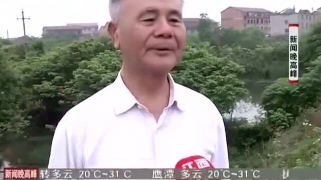 谢埠之战:不能忘却的历史(上)