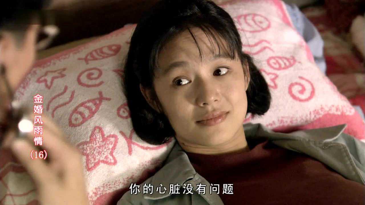 金婚风雨情 16集
