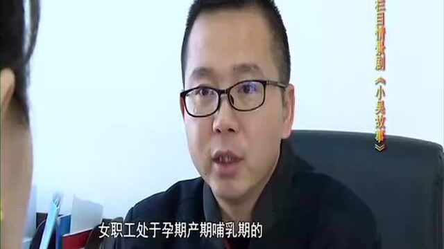 小吴故事之怀孕要排队的公司你见过吗