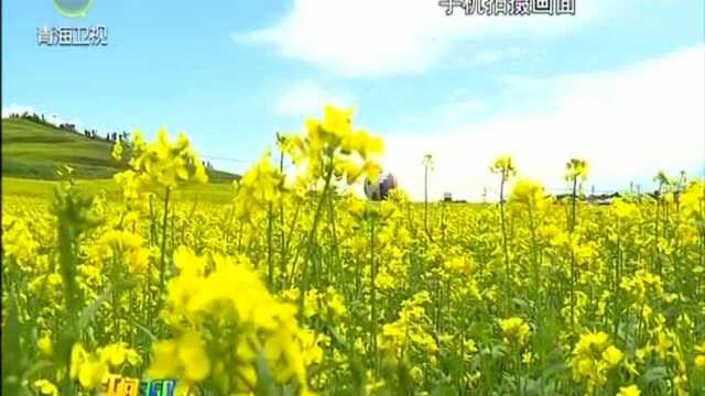 门源县发生强降雨天气致部分地区受灾