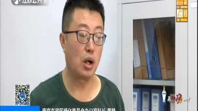 南京:1500多岁的六朝松“患病”——紧急救护方案能撑多久?暂不明确