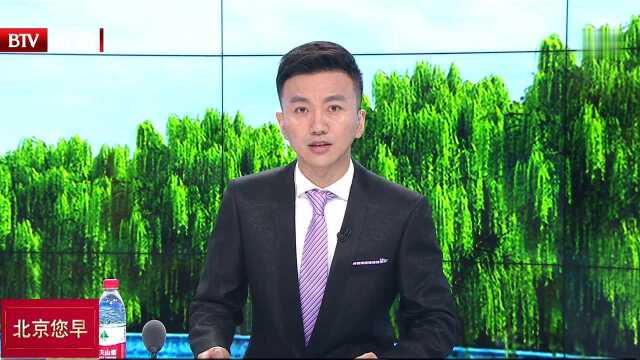 日本将对中国游客逐步开启网上签证通道