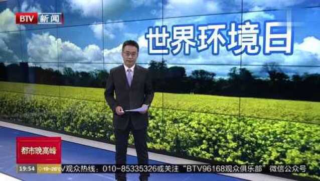 世界环境日:各区举办主题活动 践行绿色健康生活方式