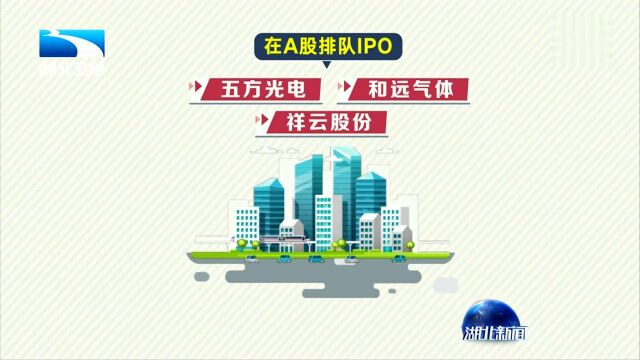 湖北新增16家上市后备“金种子”企业