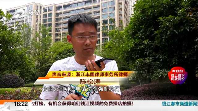 杭州运河宸园:业主违约在先 物业服务如此应对亦不可行