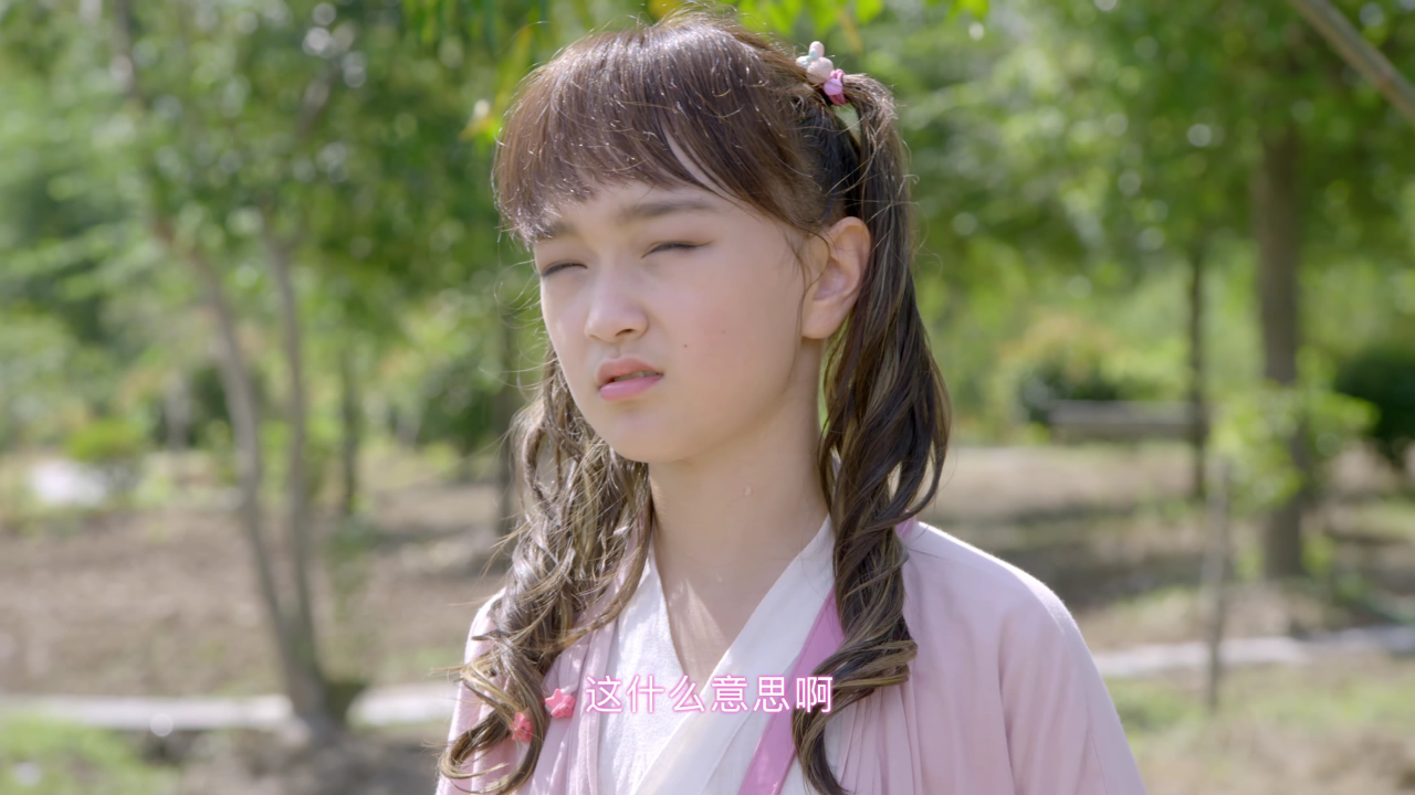 舞法天女之绚彩归来 30集