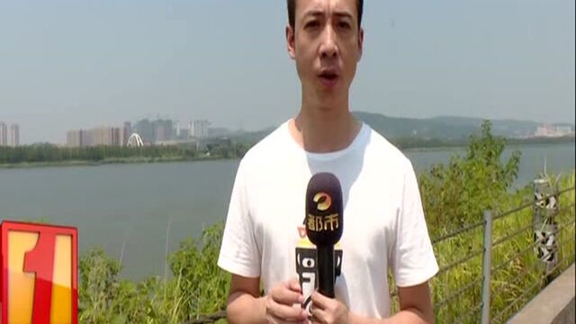 今年上半年全省环境质量监测指标向好:监测减排齐抓共管 长沙空气清爽能见度高