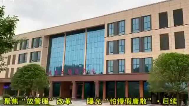 九江共青城:苗木尾款已付清 绿化工程实际支出将被审计