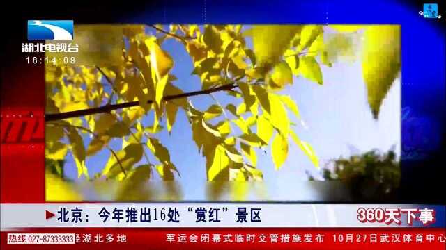 北京:今年推出16处“赏红”景区