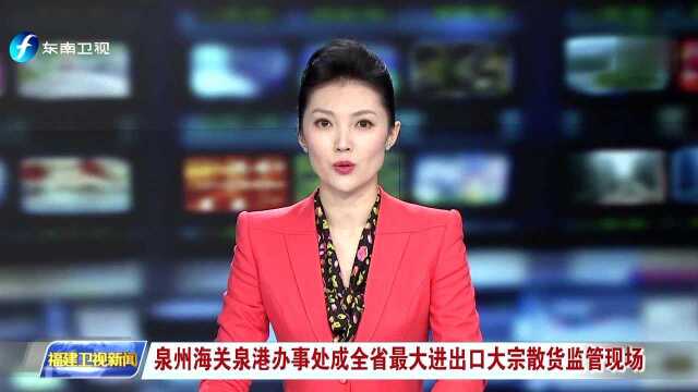 泉州海关泉港办事处成全省最大进出口大宗散货监管现场