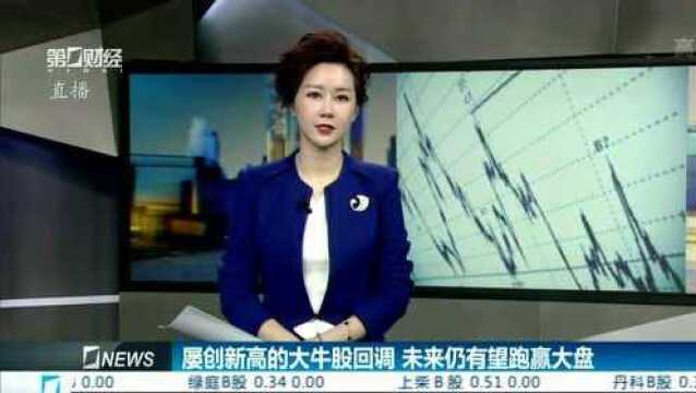 屡创新高的大牛股回调 未来仍有望跑赢大盘