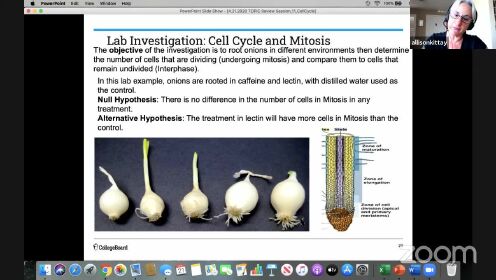 AP Biology_ Cell Cycle; Mitosis - Investigation 7