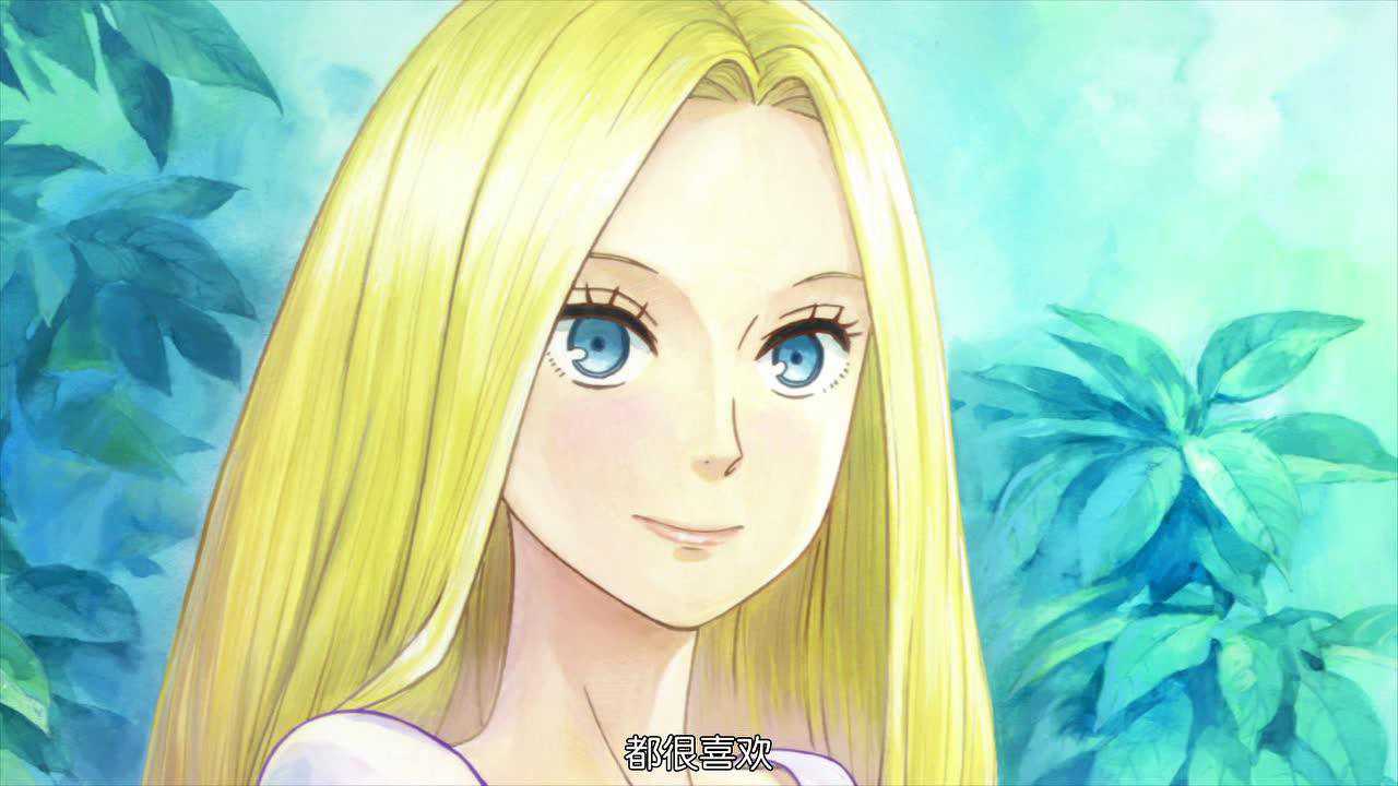 acca13区监察课 7集