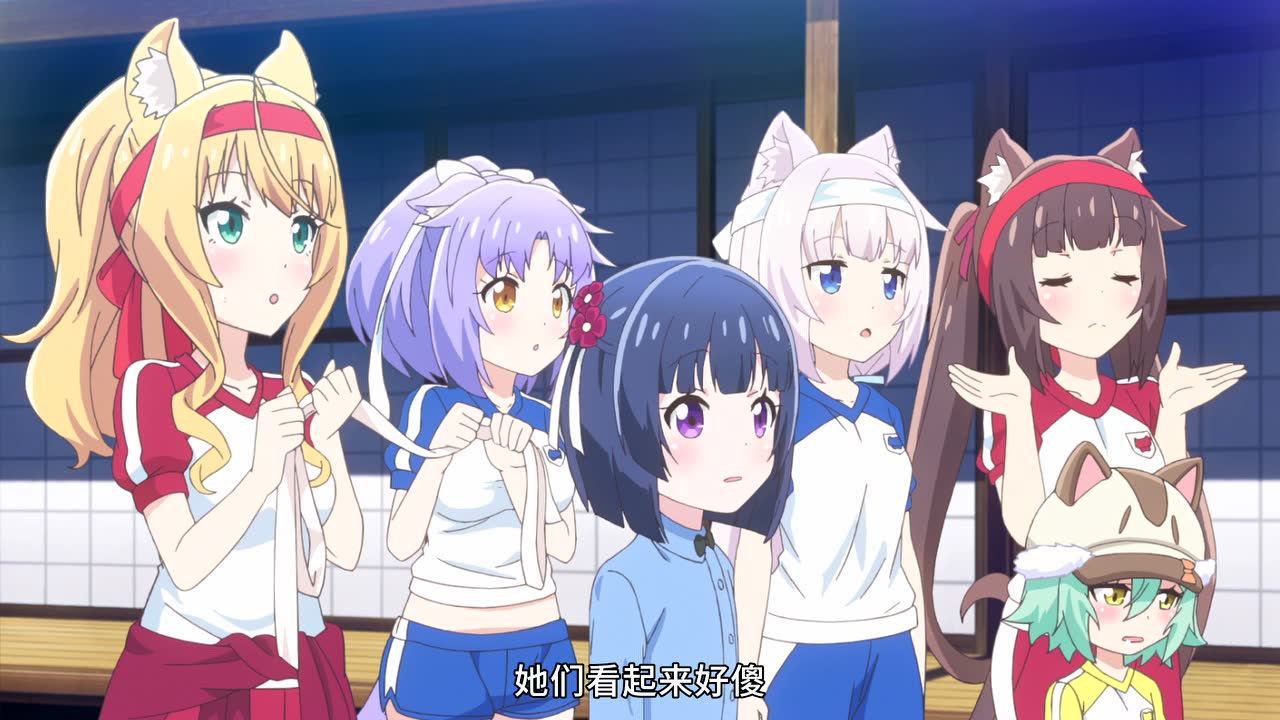 猫娘乐园 6集