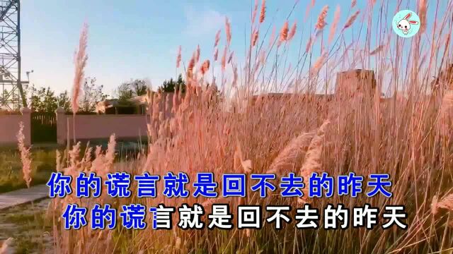 街心花园