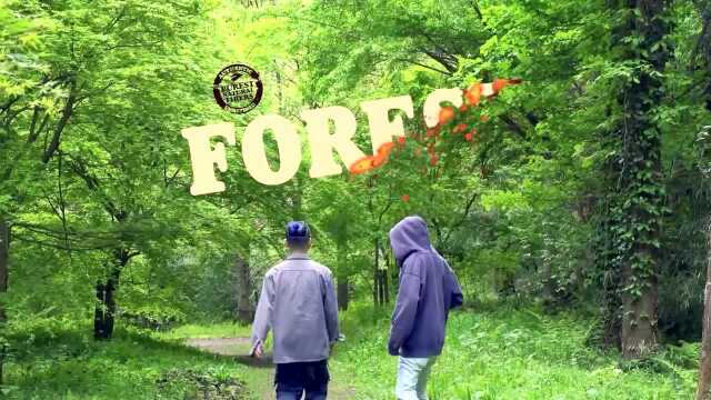 FOREST