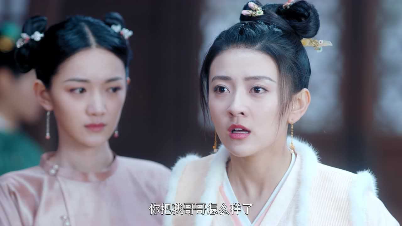 雁归西窗月 25集