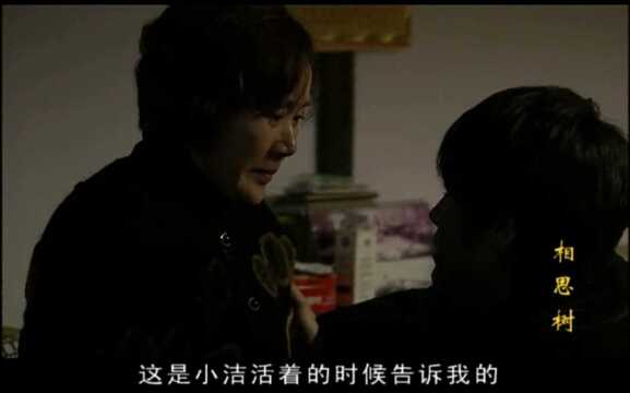 《相思树》第26集02:尚母怒骂晓牧,康凯看不下去说出了尚洁自杀的真相