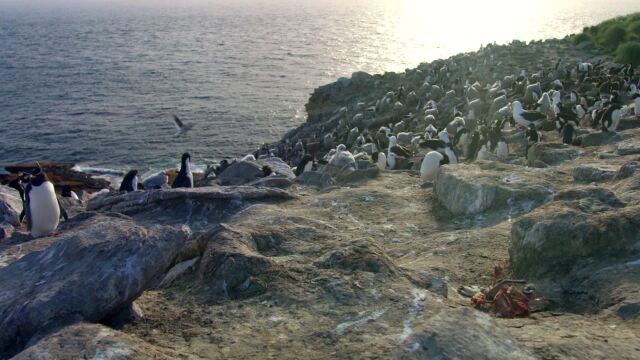 第2集:海洋视频素材