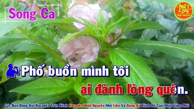 Xin Gọi Nhau L㠠Cố Nh㢮  Song Ca