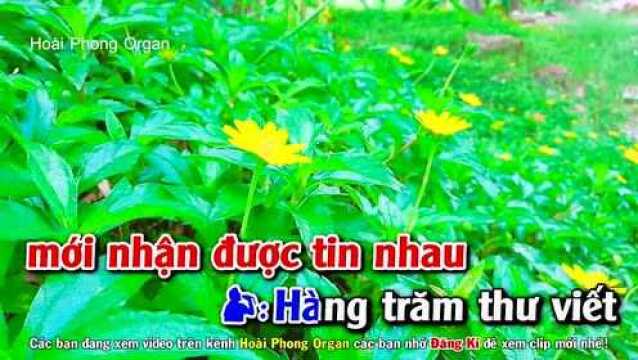 H㡩 Hoa Rừng Cho Em  Song Ca Phối Mới