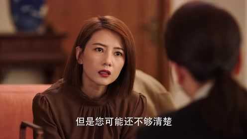 完美伴侣[DVD版] 38集
