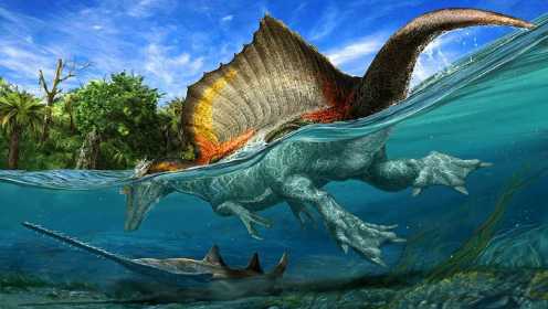 哇沃课堂：遗失的世界之大恐龙时代：淡水世界的统治者