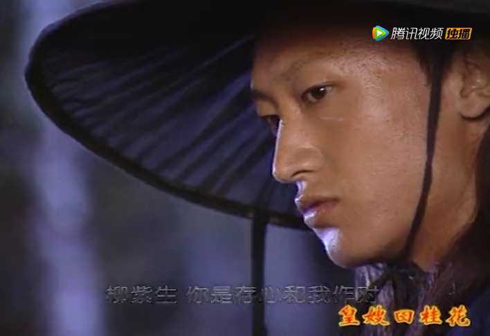 皇嫂田桂花2 9集