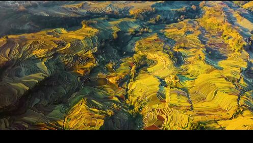 422世界地球日：我们属于大自然宣传片：地球是人类赖以生存的唯一家园_高清完整版视频在线观看_腾讯视频