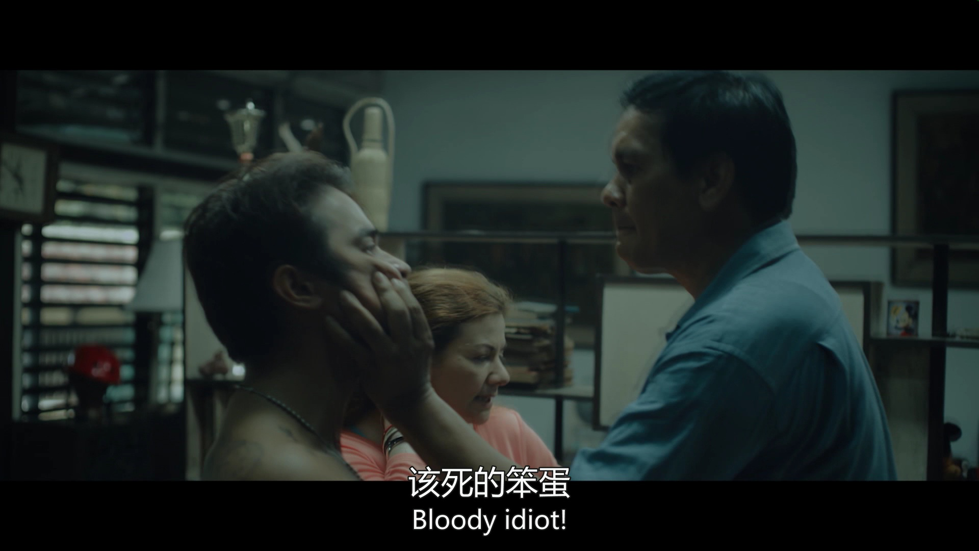 亡命刺杀令 1集