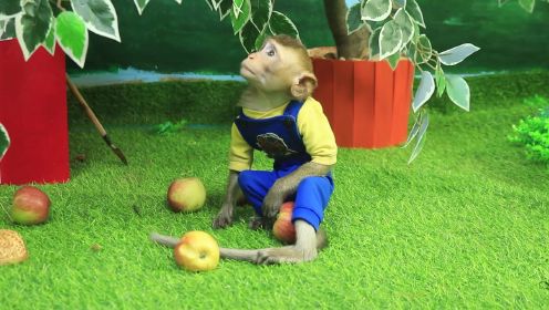小猴子乐乐摘苹果_36